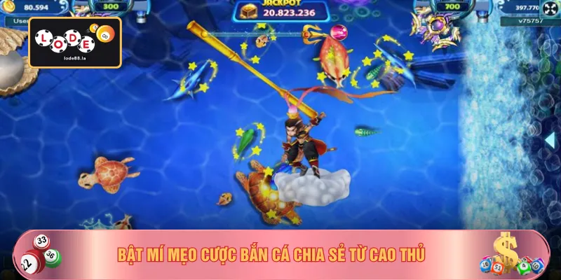 Bật mí mẹo cược bắn cá chia sẻ từ cao thủ