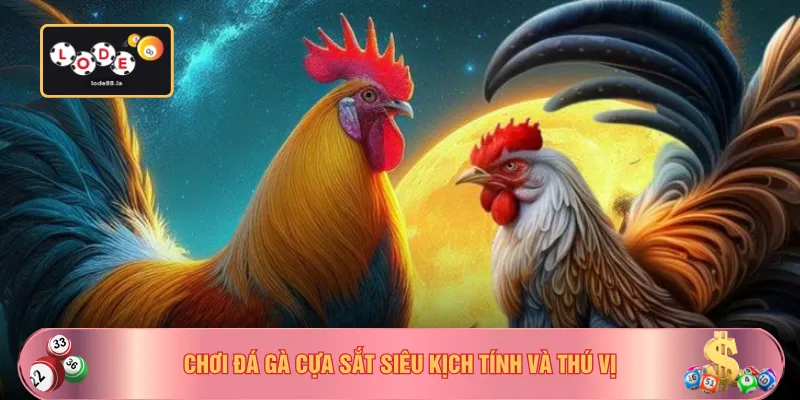 Chơi đá gà cựa sắt siêu kịch tính và thú vị