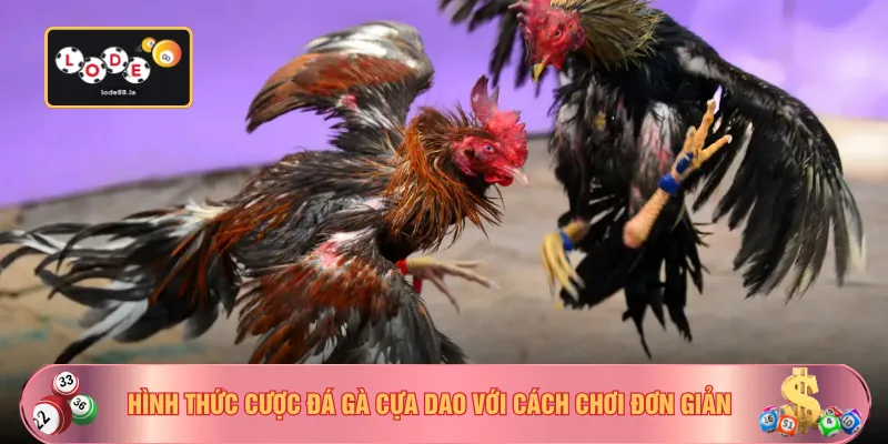 Hình thức cược đá gà cựa dao với cách chơi đơn giản