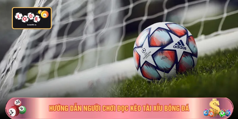 Hướng dẫn người chơi đọc kèo tài xỉu bóng đá