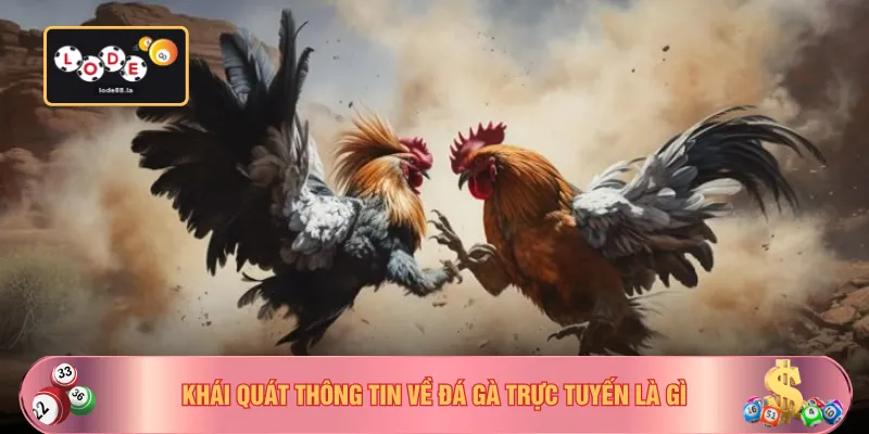 Khái quát thông tin về đá gà trực tuyến là gì