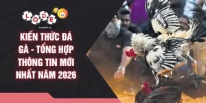 Kiến Thức Đá Gà - Tổng Hợp Thông Tin Mới Nhất Năm 2026
