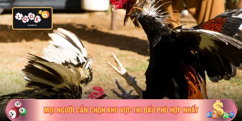 Mọi người cần chọn khu vực thi đấu phù hợp nhất
