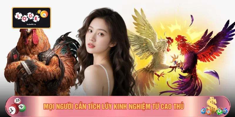 Mọi người cần tích lũy kinh nghiệm từ cao thủ