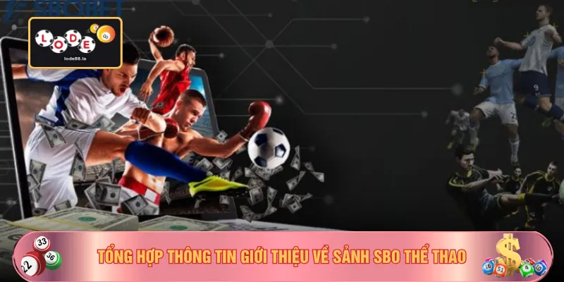 Tổng hợp thông tin giới thiệu về sảnh SBO thể thao